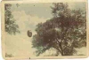 163