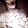 reptile
