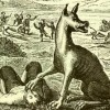 Gevaudan_Monster