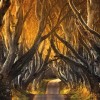 DASOS IRLANDIA 3