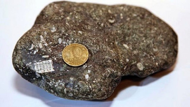 microchip in stone