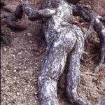 treeman-10