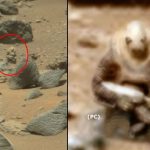 alien-shape-in-mars