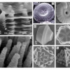 NANOROBOT