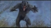 werewolf_helsing