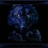 INVISIBLE LYCANS 2-FantasyartAnimalsWolvesWolfWallpaper