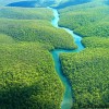 Amazon-jungle