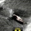moon 25